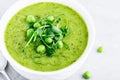 Summer cream soup with green fresh pea shoots Royalty Free Stock Photo
