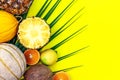 Summer creative tropic fuit layout. Pineapple, melon, lemon, orange, coconut and palm leaf on yellow background.