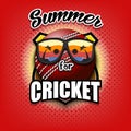 Summer cricket logo. Summer for cricket Royalty Free Stock Photo