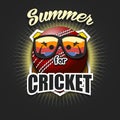 Summer cricket logo. Summer for cricket Royalty Free Stock Photo