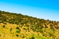 Summer Crimean hill landscape