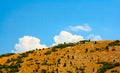 Summer Crimean hill landscape