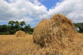 Summer crop field with hay rolls