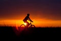 Summer cyclist Royalty Free Stock Photo