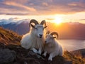 Summer Dall Sheep Made With Generative AI illustration