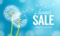 Summer dandelion Sale