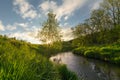 Summer dawn. In the foreground brightly lit grass. In the background, the sun seeps through the tree branches. Near the Royalty Free Stock Photo