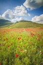 Summer day in beautiful and colorful area in Umbria