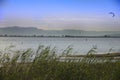 Summer day in the Ebro Delta Natural Park Royalty Free Stock Photo