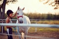 Summer day on the farm. Girl caress horse