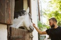 Summer day on the farm. Young man caress horse