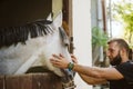 Summer day on the farm. Young man caress horse