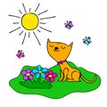 The summer day, kitten, butterflies, flowers, sun