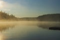 Summer day landscape. Lake landscape on a foggy morning Royalty Free Stock Photo