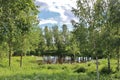 Summer day in Norrbotten Royalty Free Stock Photo