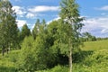 Summer day in Norrbotten Royalty Free Stock Photo