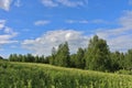 Summer day in Norrbotten