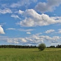 Summer day in Norrbotten