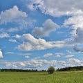 Summer day in Norrbotten Royalty Free Stock Photo