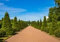 Summer day in Oranienbaum park. Lomonosov.