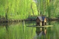 Summer day park calmness nature scenic environment wooden cabin for birds on lake water surface landscaping object made by human