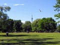 A summer day in the park on Toronto Island, overlooking the CN t