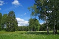 Summer day in Pavlovsk park