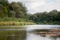 Summer day side view on wide still river in forest with resting ducks on sand