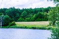 Small summer forest lake Royalty Free Stock Photo