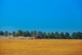 Summer day tractor pulls a plow on the sloping field of wheat.