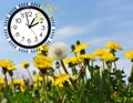 Summer Daylight Saving Time DST. Blue sky with yellow dandelions. Turn time forward +1h Royalty Free Stock Photo