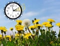 Summer Daylight Saving Time DST. Blue sky with yellow dandelions. Turn time forward +1h Royalty Free Stock Photo