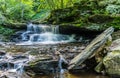 Summer at Delaware Falls in Ricketts Glen State Park of Pennsylvania Royalty Free Stock Photo