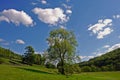 Summer In The The Derwent Valley