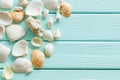 Seaside Pattern With Shells On Mint Green Wooden Background Top View Mock Up