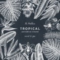 Summer design with tropical plants. Hand drawn exotic flowers and palm leaves sketches background. Vector template with tropical Royalty Free Stock Photo