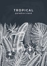 Summer design with tropical plants. Hand drawn exotic flowers and palm leaves sketches background. Vector template with tropical Royalty Free Stock Photo