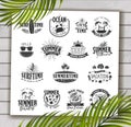 Summer Designs on Tropical Beach Background