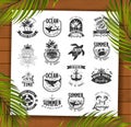 Summer Designs on Tropical Beach Background