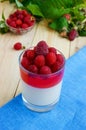 Summer dessert with cream and raspberry jelly, decorate with fresh berries in a transparent glass Royalty Free Stock Photo