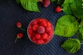 Summer dessert with cream and raspberry jelly and garnish with fresh berries. Royalty Free Stock Photo