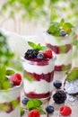 Summer dessert with fresh berries