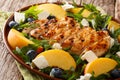 Summer diet food: grilled chicken breast with fresh peaches, blu