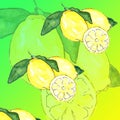 Summer Digital Paper Pack: `Tutti Frutti` Tropical Fruits Background Pineapple Lemon Lemonade Watermelon Paper Colorful Summer
