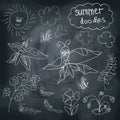 Summer Doodle on chalkboard background