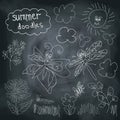 Summer Doodle set on chalkboard background