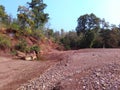 Summer dried river in tropical Indian forest