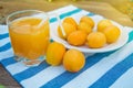 Summer drink and fruit-fresh apricot juice in a glass glass Cup with a straw and ripe apricots on a napkin, outdoors on a Sunny Royalty Free Stock Photo