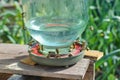 Summer drinker with water for bees in the apiary