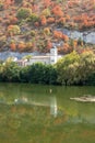 Summer drought kills trees